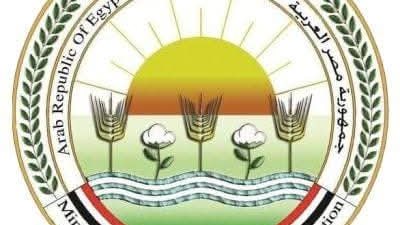 وزير الزراعة يتابع تنفيذ محطة شتل القصب بإدفو