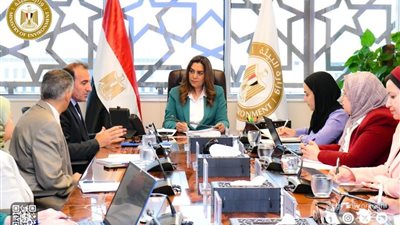 وزيرة التنمية المحلية تناقش المشروعات البيئية مع برنامج الأمم المتحدة الإنمائي