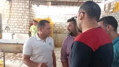 محافظة الجيزة تواصل دورها الرقابي وتضبط 10 أطنان من هياكل الدواجن