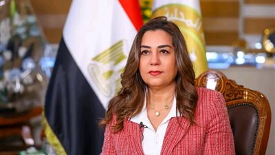 التنمية المحلية: 