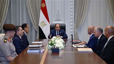 السيسي يوجّه بمواصلة تطوير الموانئ والسكك الحديدية وتسريع تنفيذ القطار السريع والمونوريل