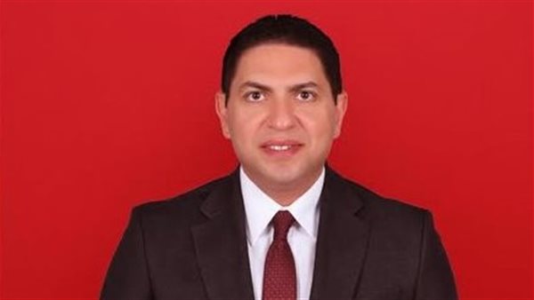 المستشار شادي البرقوقي