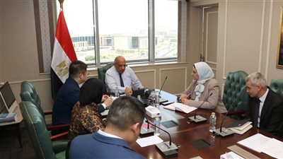 وزير الكهرباء يبحث تعزيز التعاون مع شركة صينية للطاقة الشمسية