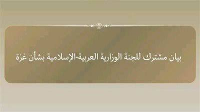 بيان مشترك من وزراء خارجية اللجنة العربية الإسلامية بشأن الأحداث في غزة