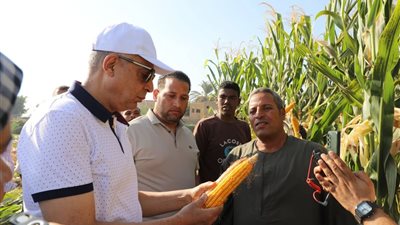 محافظ المنيا يشارك مزارعي قرية الشعراوية بسمالوط حصاد المحاصيل الصيفية 