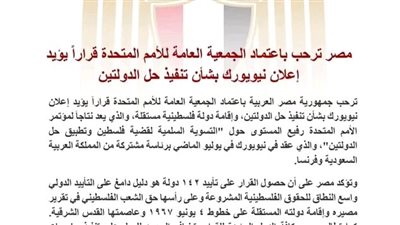 مصر ترحب باعتماد الجمعية العامة للأمم المتحدة قراراً يؤيد إعلان نيويورك بشأن تنفيذ حل الدولتين