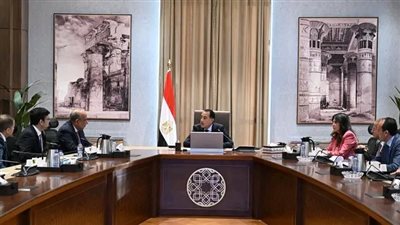 رئيس الوزراء يلتقي مسئولي شركة 