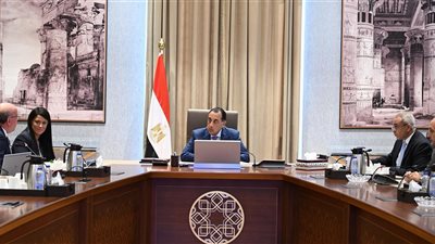 رئيس الوزراء يتابع جهود فض التشابكات المالية مع بنك الاستثمار القومي