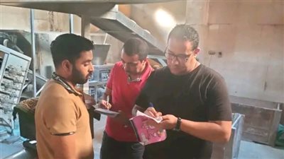محافظ الدقهلية يكلف إدارة الحوكمة والمتابعة بحملة موسعة على المخابز
