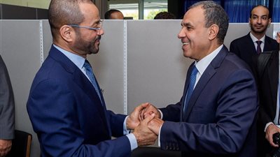 مصر وعُمان تبحثان تعزيز التعاون ودعم القضايا العربية في نيويورك