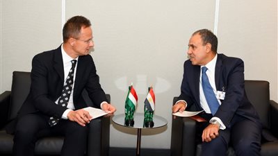 مصر والمجر تعززان شراكتهما وتؤكدان دعم القضية الفلسطينية