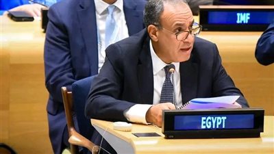 وزير الخارجية يؤكد استمرار مصر في تقديم الدعم الفني للدول الإفريقية والعربية