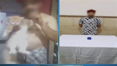 الأجهزة الأمنية تضبط شخصًا يروج لمقاطع مسيئة بالإسماعيلية