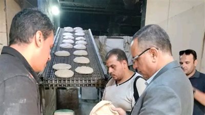 محافظ الدقهلية: استمرار الحملات التفتيشية المكثفة على المخابز والأسواق