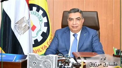 محافظ الدقهلية: اطلاق منصة 