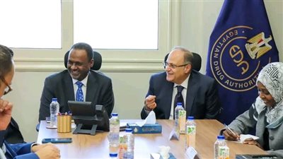 هيئة الدواء المصرية تستقبل وفد المجلس القومي للأدوية والسموم السوداني لبحث تعزيز التعاون الثنائي