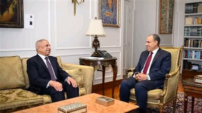 وزير الخارجية يلتقي رئيس الأكاديمية العربية للعلوم والتكنولوجيا والنقل البحري