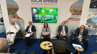 منال عوض تؤكد: استضافة مصر لمؤتمر المناخ COP27 ساهم في وضع التنوع البيولوجي 