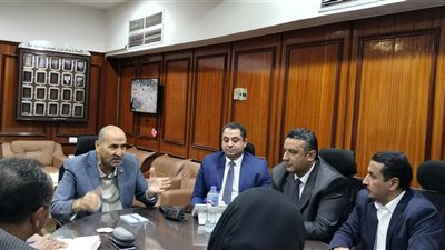 قنا تضع خطة شاملة للتعامل مع الحيوانات الضالة