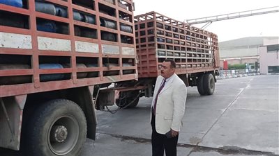 تصدٍّ لتهريب الدعم: تموين دمياط تضبط سيارة نقل محملة بأكثر من 1180 أسطوانة غاز ليس لها حق الصرف