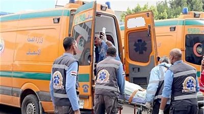 خلاف داخل مدرسة يتطور إلى اشتباك.. وإصابة عامل وطالب بالجيزة