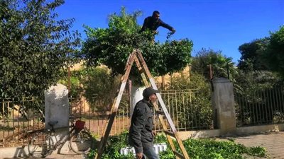 محافظ الدقهلية يتابع أعمال منظومة النظافة ورفع المخلفات بمدينتي المنصورة وطلخا 