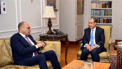 وزيرا الخارجية والعمل يناقشان أهمية إنشاء قاعدة بيانات وطنية موحدة وشاملة للعمالة المصرية بالخارج