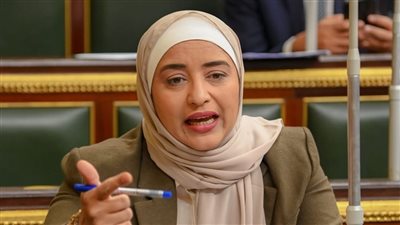 أبوشقة تحذر: غياب التشريعات والاعتماد على القروض يهددان حقوق المواطنين