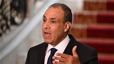 وزير الخارجية: العلاقات الاقتصادية بين مصر وتركيا تشهد حاليًا زخمًا غير مسبوق