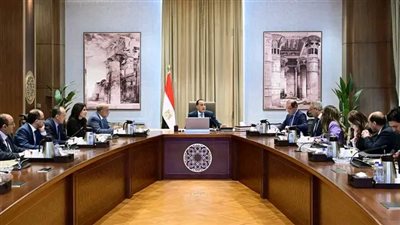 رئيس الوزراء يتابع الموقف التنفيذي للطاقات المتجددة وتدعيم الشبكة القومية للكهرباء