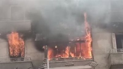 فاجعة مروعة في القليوبية: 