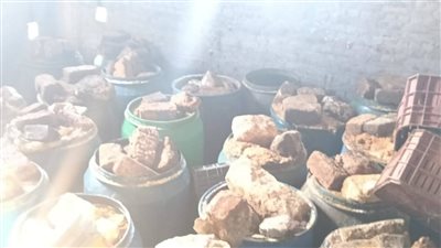  محافظ كفرالشيخ: ضبط 12 طن فسيخ غير صالح للاستهلاك الآدمى
