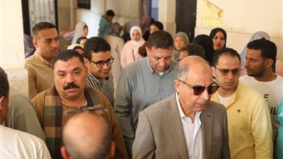 محافظ المنيا يتفقد لجان انتخابات مجلس النواب في يومها الثاني ويدعو المواطنين للمشاركة الفعالة