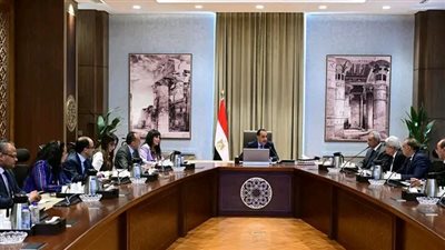 رئيس الوزراء يلتقي أعضاء اللجنة الاستشارية للشئون السياسية