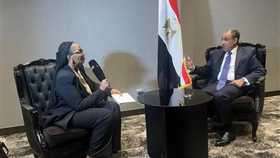 على هامش قمة العشرين بجنوب أفريقيا.. لقاءات إعلامية مكثفة لوزير الخارجية