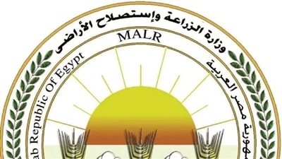 ضبط 4.3 طن من اللحوم والدواجن غير الصالحة للاستهلاك في حملات رقابية (فيديو)