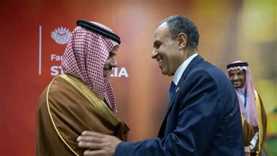 لقاء وزير الخارجية مع وزير الخارجية السعودي على هامش أعمال قمة مجموعة العشرين بجوهانسبرج