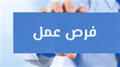  وزارة العمل تعلن عن 185 فرصة عمل جديدة بالسويس