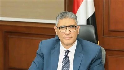 محافظة الجيزة تضبط 30 طن كفتة منتهية الصلاحية