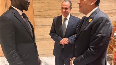 رئيس الوزراء ينقل تحيات الرئيس السيسي لرئيس السنغال خلال لقائهما في لواندا