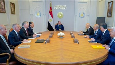  السيسي يلتقي الرئيس التنفيذي لشركة 