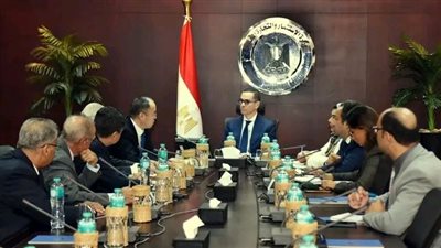 وزير الاستثمار والتجارة الخارجية يبحث مع وفد شركة 