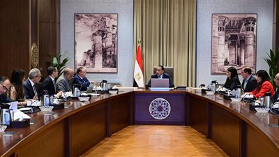 رئيس الوزراء يُتابع موقف مشروعات الطاقة الجديدة والمتجددة لتعزيز مساهمة الطاقة المتجددة في مزيج الطاقة