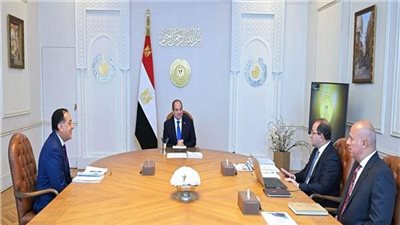 الرئيس السيسي يؤكد ضرورة العمل على زيادة الاستثمارات الخاصة