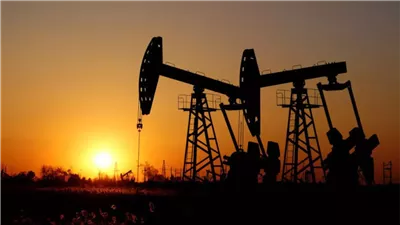 208 ملايين دولار استثمارات لإضافة 105 آلاف برميل زيت من الصحراء الغربية