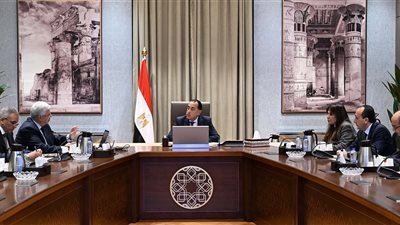 رئيس الوزراء يتابع نتائج المبادرة الرئاسية 